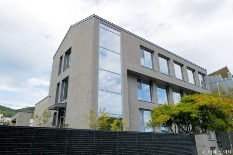 [예스키즈존] 로이테