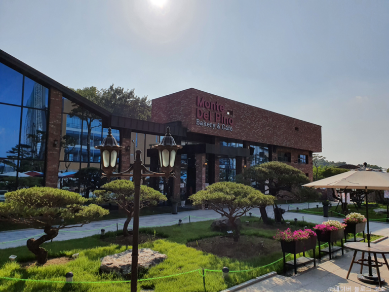 [예스키즈존] 몬떼델피노