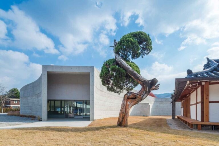 [예스키즈존] 아유 스페이스