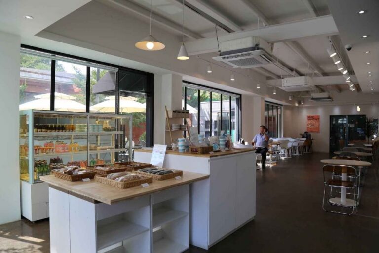 [예스키즈존] 씨디피