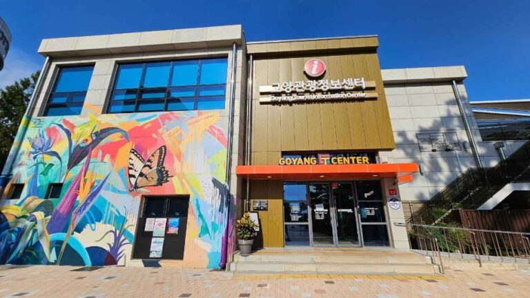 [예스키즈존] 고야카페