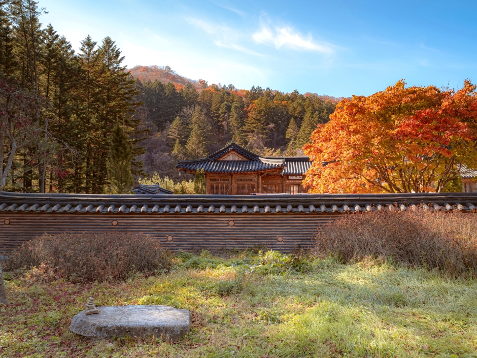 yeskids 1776458326 883 예스키즈존 탐험대 : 실패 없는 육아여행