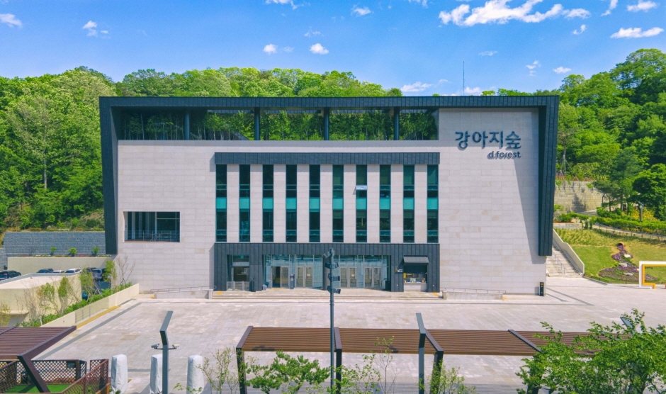 yeskids 1776458448 209 예스키즈존 탐험대 : 실패 없는 육아여행