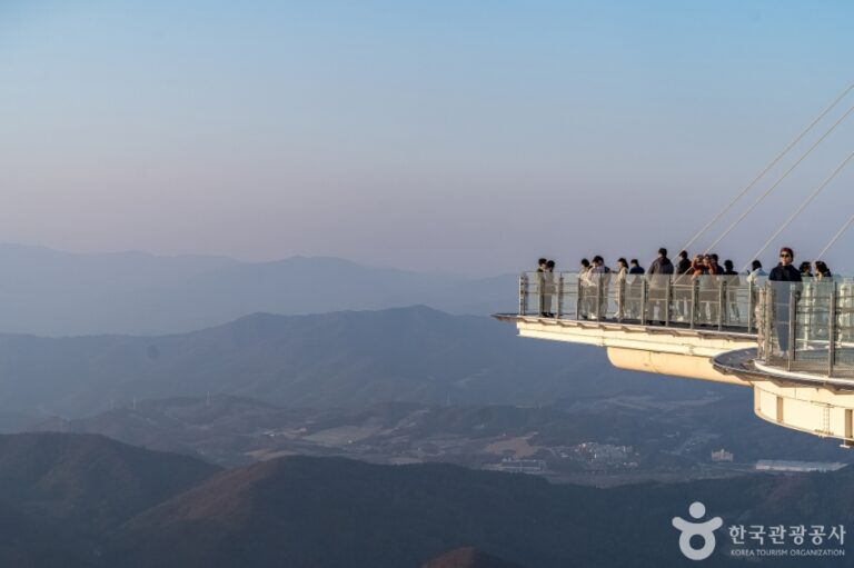 [예스키즈존] 발왕산 기 스카이워크