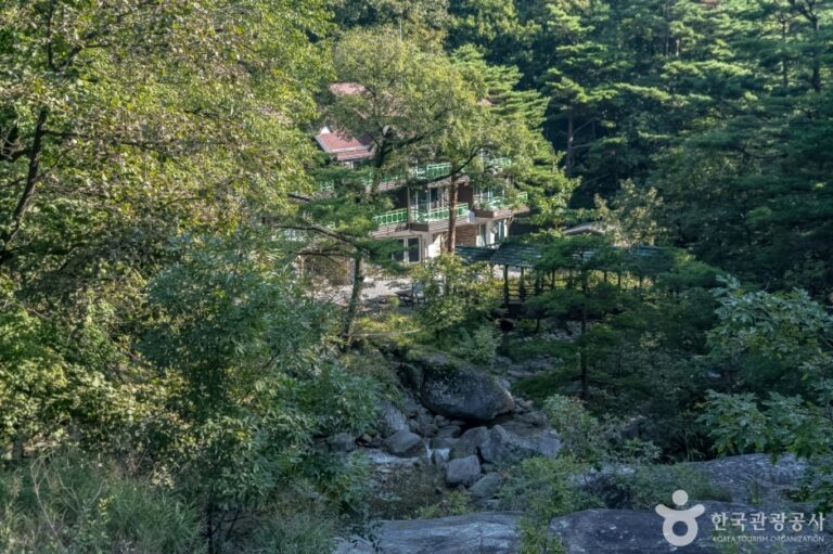 [예스키즈존] 국립대관령자연휴양림