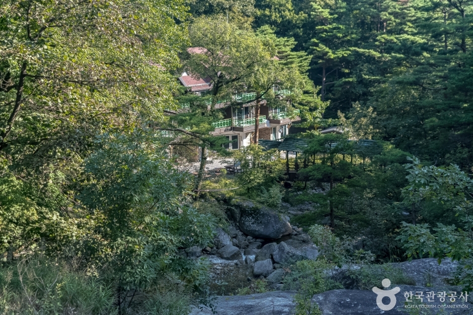 yeskids 1776458477 161 예스키즈존 탐험대 : 실패 없는 육아여행