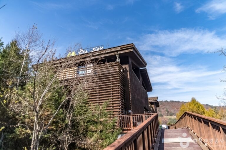 [예스키즈존] 토끼의 숲