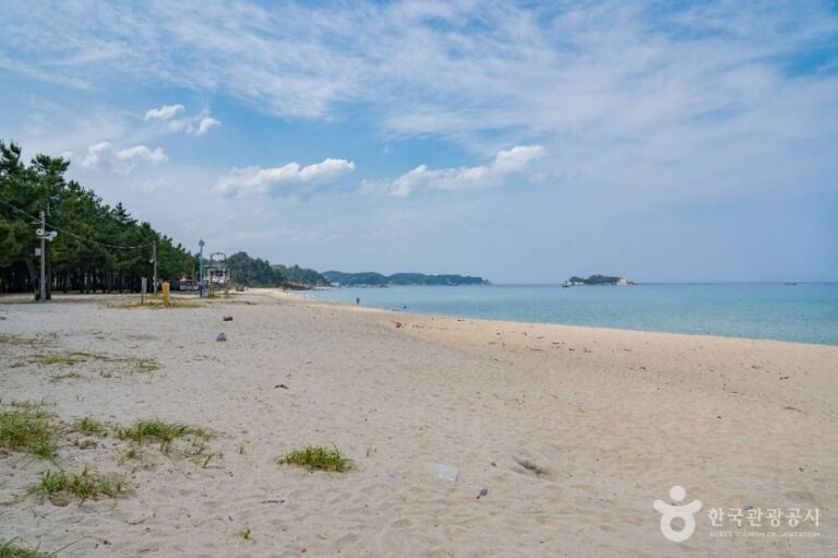 [예스키즈존] 잔교리해수욕장