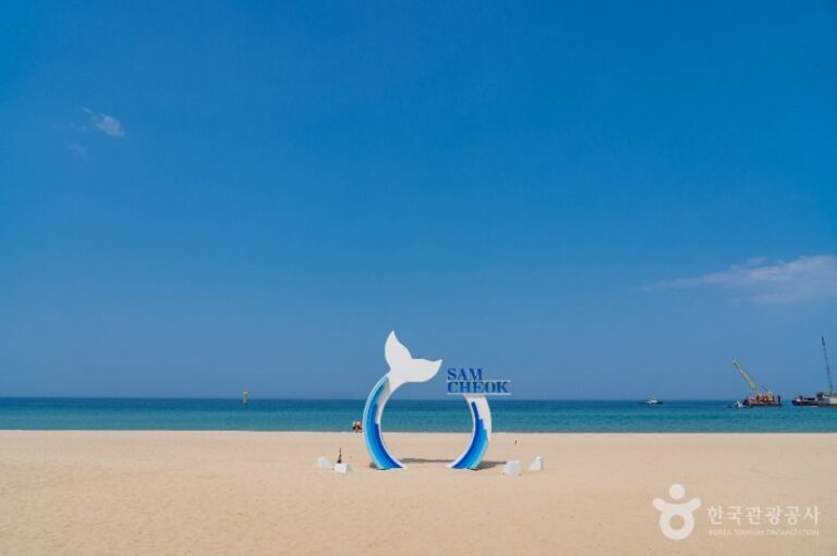 [예스키즈존] 삼척해변