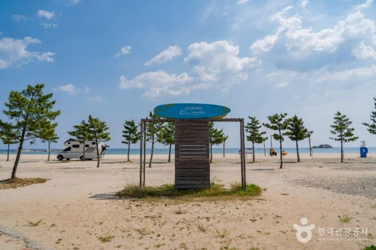 [예스키즈존] 삼포해변