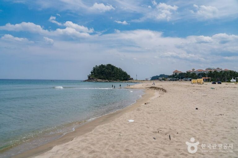 [예스키즈존] 송전해수욕장