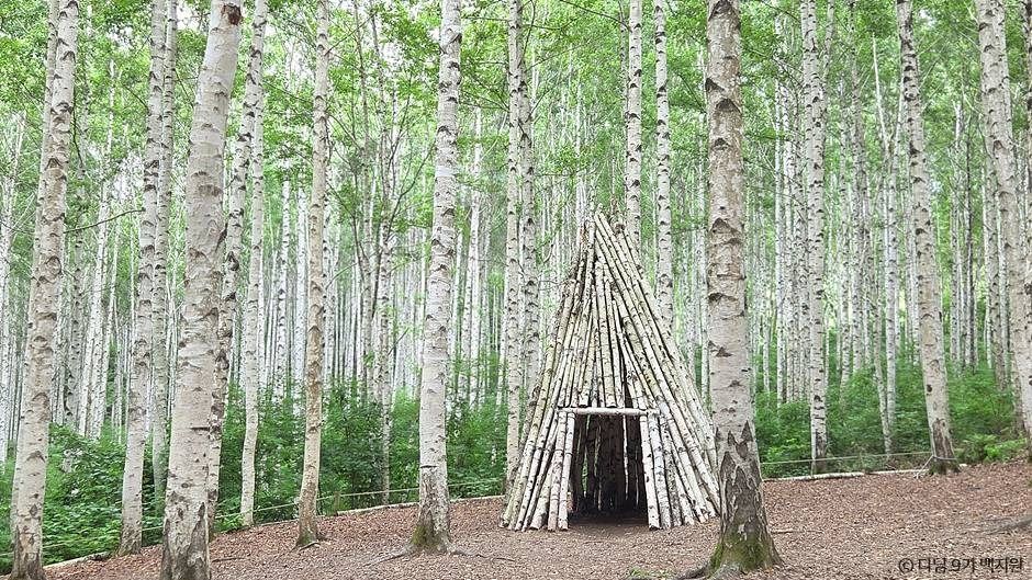 yeskids 1776458704 766 예스키즈존 탐험대 : 실패 없는 육아여행