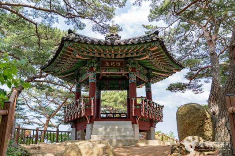 [예스키즈존] 하조대