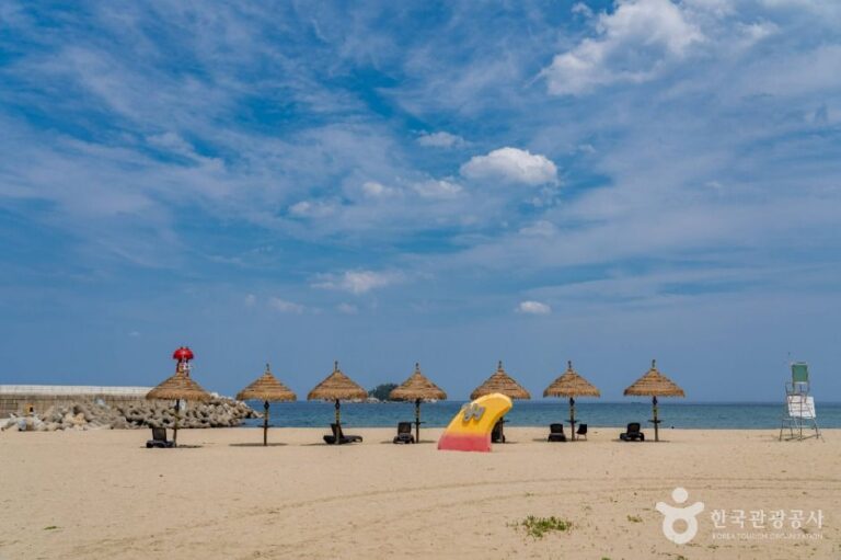 [예스키즈존] 기사문해수욕장