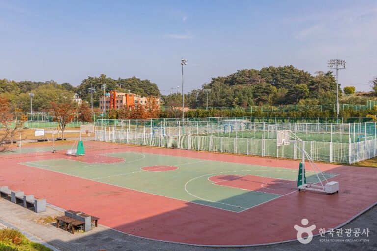 [예스키즈존] 강남축구공원