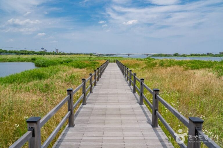 [예스키즈존] 남대천 생태관찰로