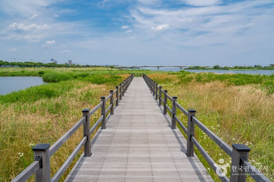 yeskids 1776458789 671 예스키즈존 탐험대 : 실패 없는 육아여행