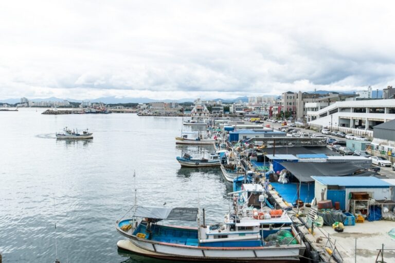 [예스키즈존] 주문진항