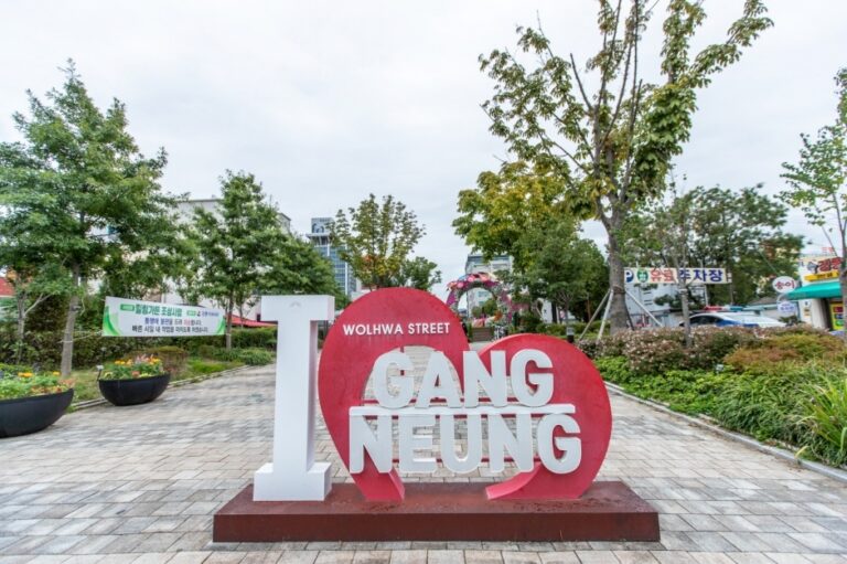 [예스키즈존] 강릉 월화거리