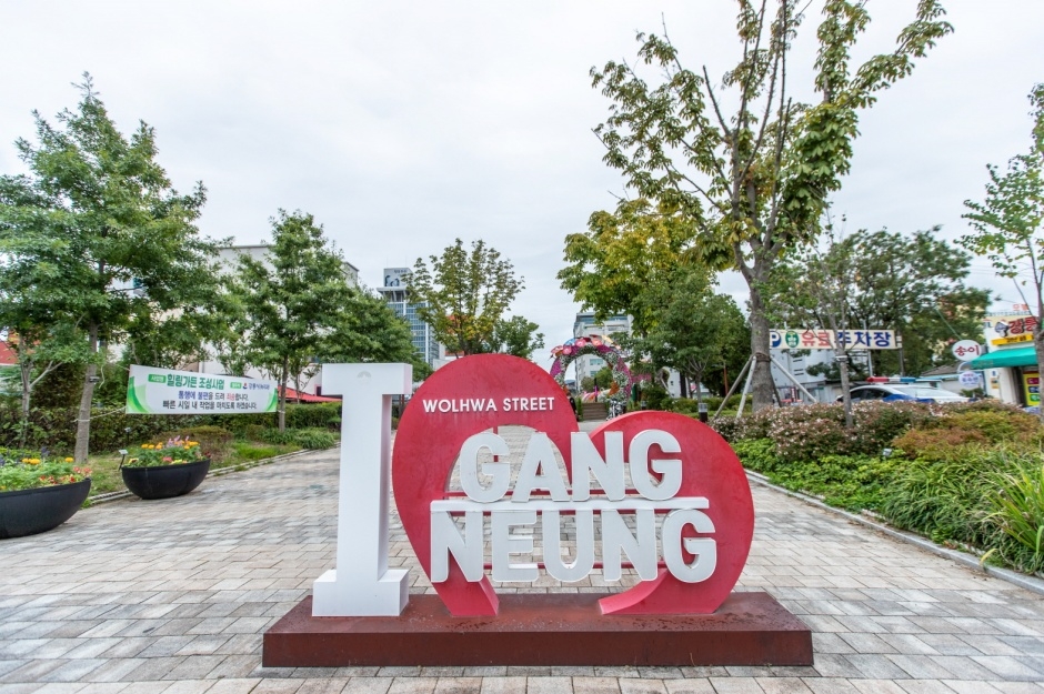 yeskids 1776458815 496 예스키즈존 탐험대 : 실패 없는 육아여행