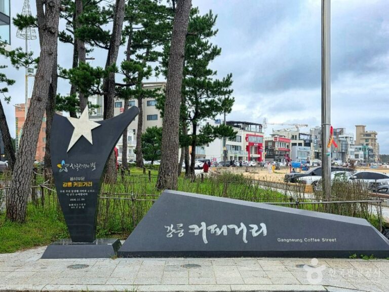 [예스키즈존] 강릉커피거리