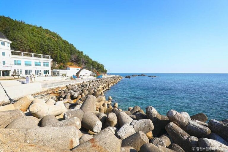 [예스키즈존] 금진항(강릉)