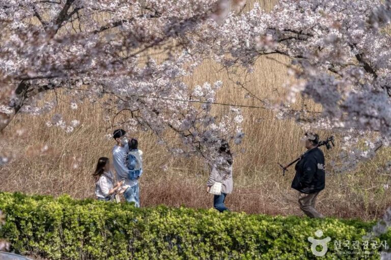 [예스키즈존] 경포도립공원