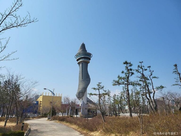 [예스키즈존] 속초 엑스포타워