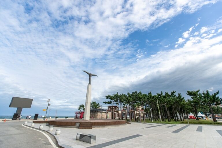 [예스키즈존] 낙산해수욕장