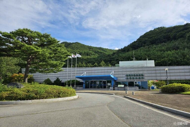 [예스키즈존] 임해자연휴양림