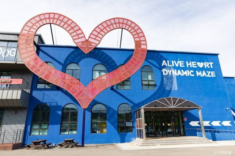 [예스키즈존] 속초 얼라이브 하트(Alive Heart)