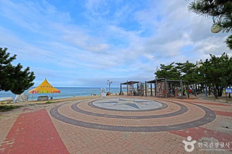 [예스키즈존] 강릉 안목해맞이공원