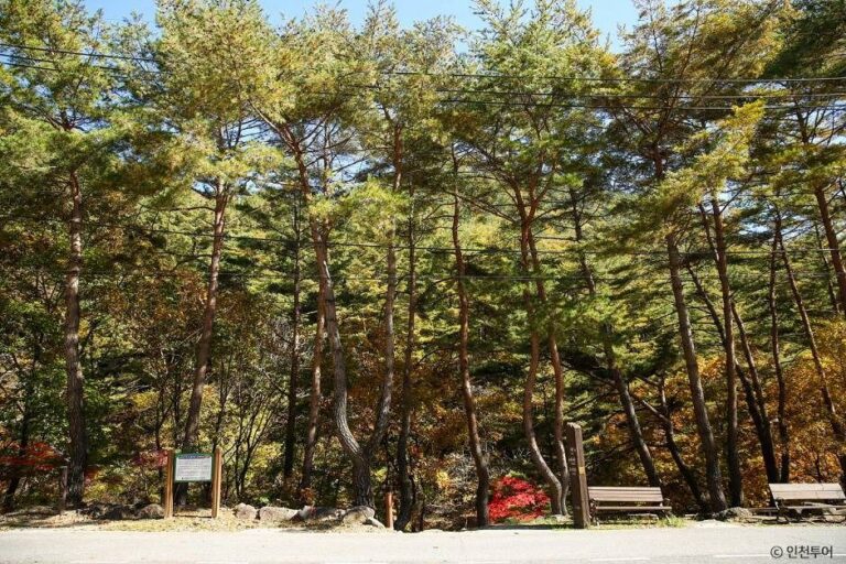 [예스키즈존] 국립 가리왕산자연휴양림