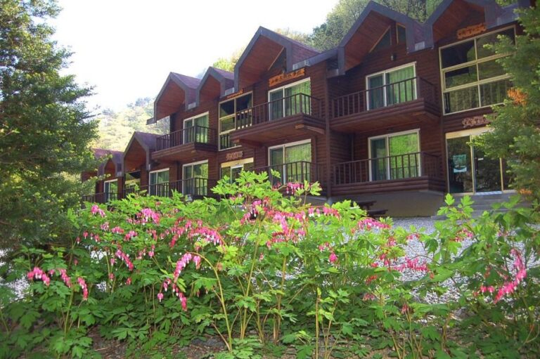 [예스키즈존] 국립미천골자연휴양림