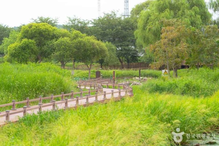 [예스키즈존] 경포가시연습지