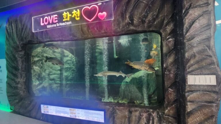 [예스키즈존] 토속어류생태체험관