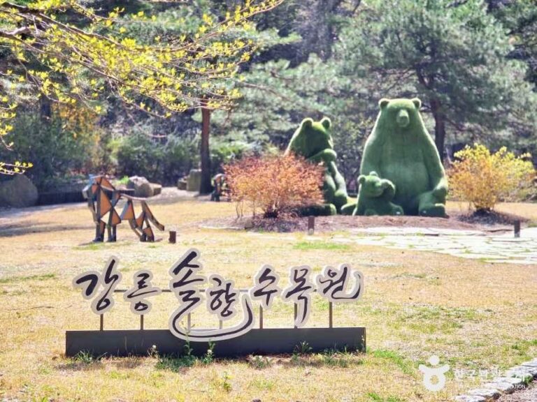 [예스키즈존] 강릉 솔향수목원