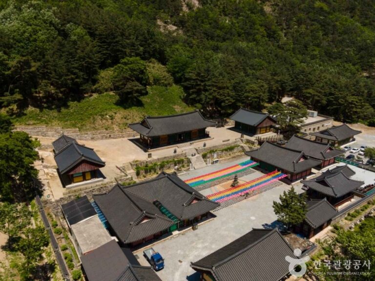 [예스키즈존] 삼화사