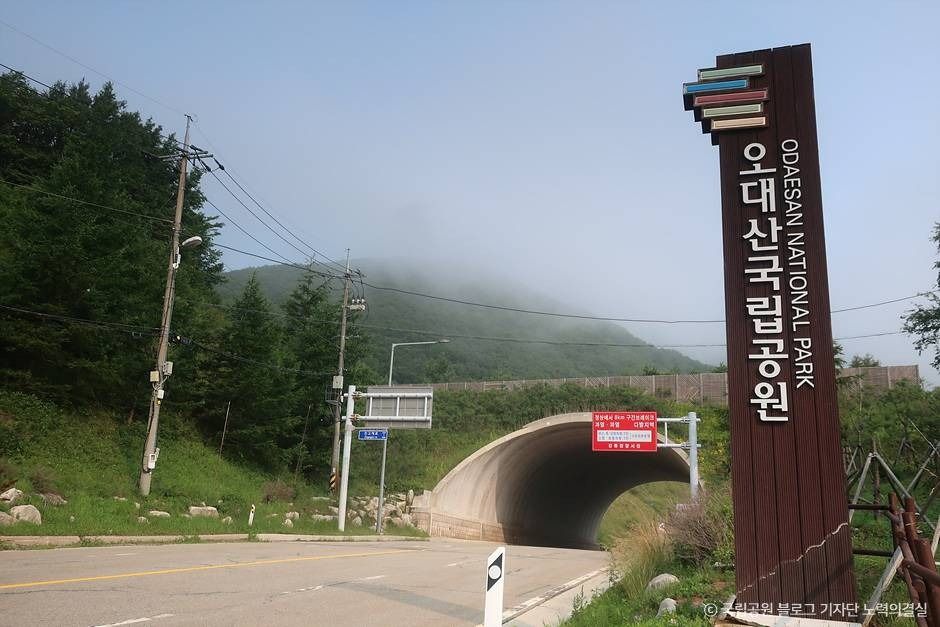 yeskids 1776543745 959 예스키즈존 탐험대 : 실패 없는 육아여행