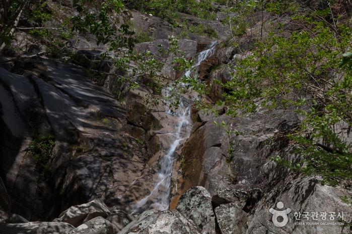 [예스키즈존] 무릉계곡