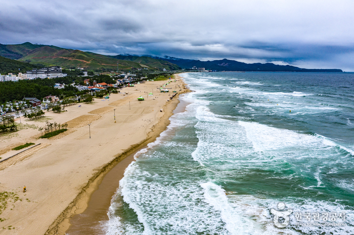 [예스키즈존] 망상해변