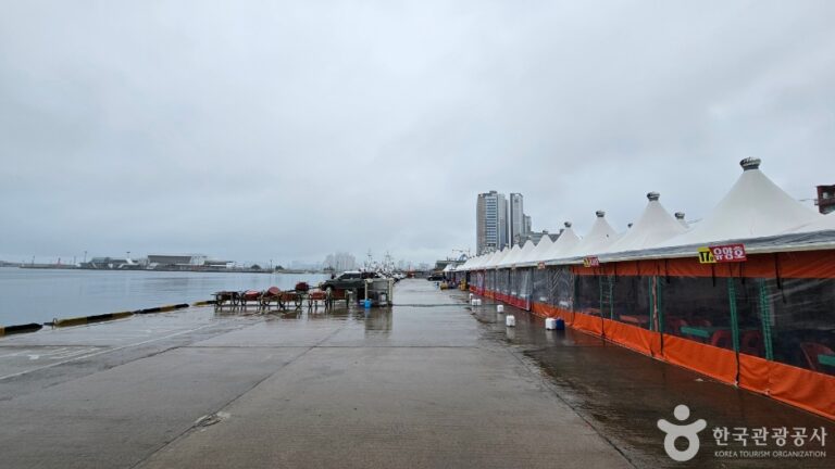 [예스키즈존] 속초항