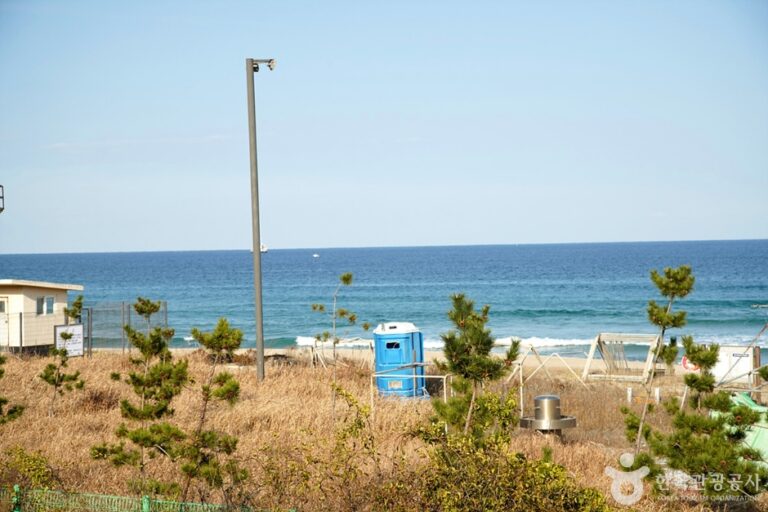 [예스키즈존] 도직해변