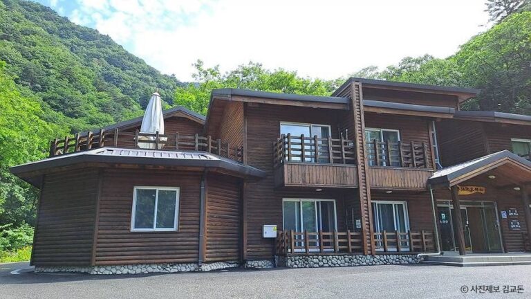 [예스키즈존] 국립두타산자연휴양림