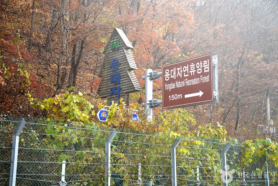 yeskids 1776544138 234 예스키즈존 탐험대 : 실패 없는 육아여행