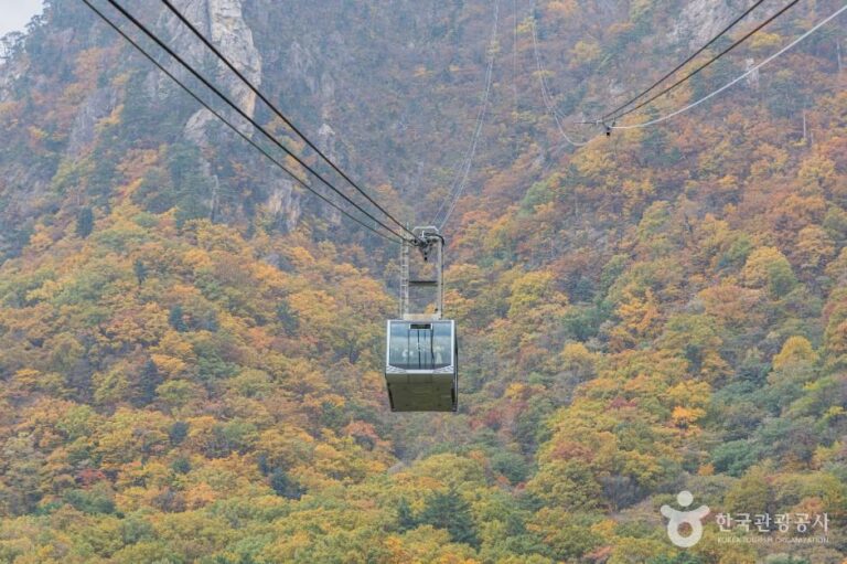 [예스키즈존] 설악산 케이블카