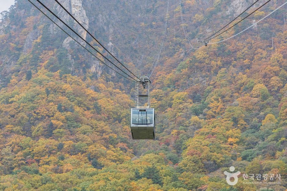 yeskids 1776544215 134 예스키즈존 탐험대 : 실패 없는 육아여행