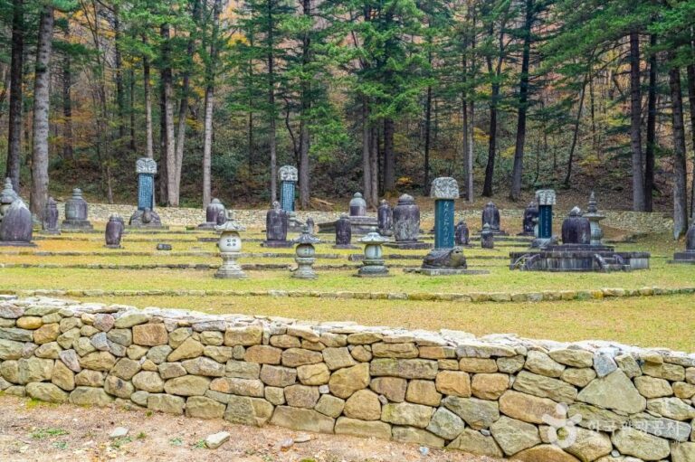 [예스키즈존] 월정사부도군