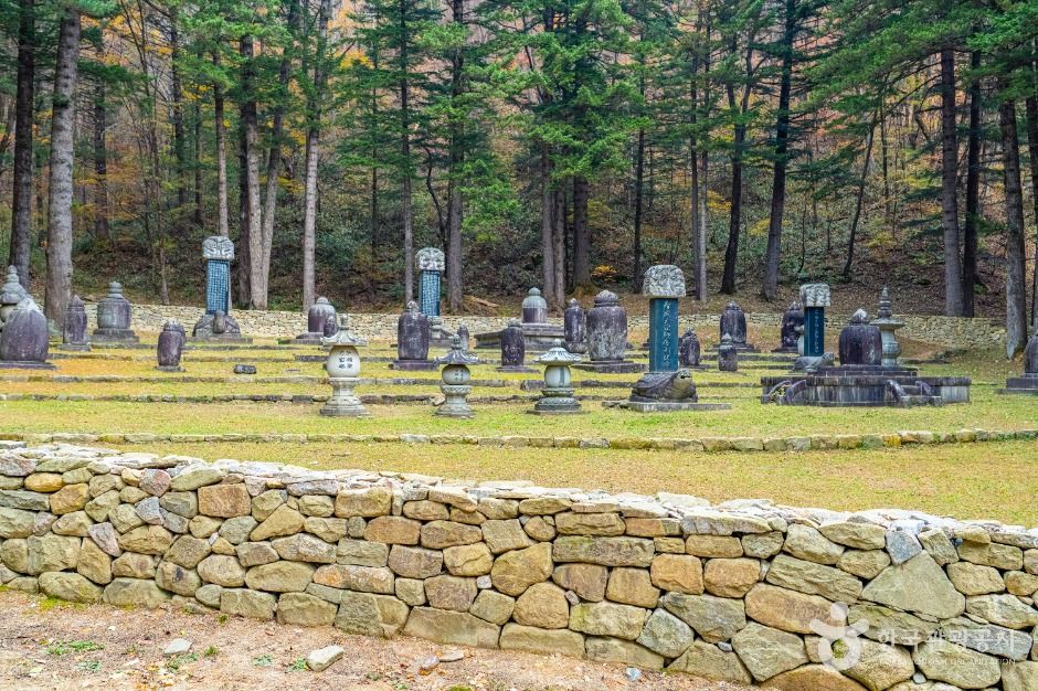 yeskids 1776544288 140 예스키즈존 탐험대 : 실패 없는 육아여행