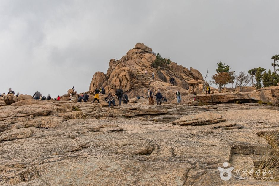 yeskids 1776544342 454 예스키즈존 탐험대 : 실패 없는 육아여행